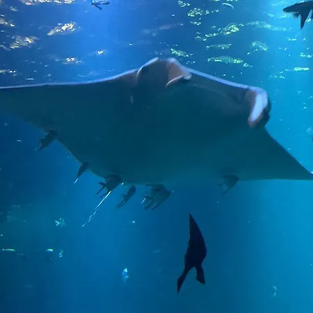 De 100m² Bien Situe Lägenhet Boulogne-sur-Mer