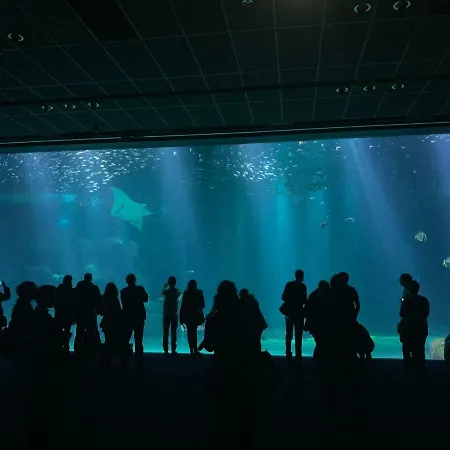 Lägenhet De 100m² Bien Situe Boulogne-sur-Mer