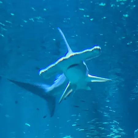 De 100m² Bien Situe